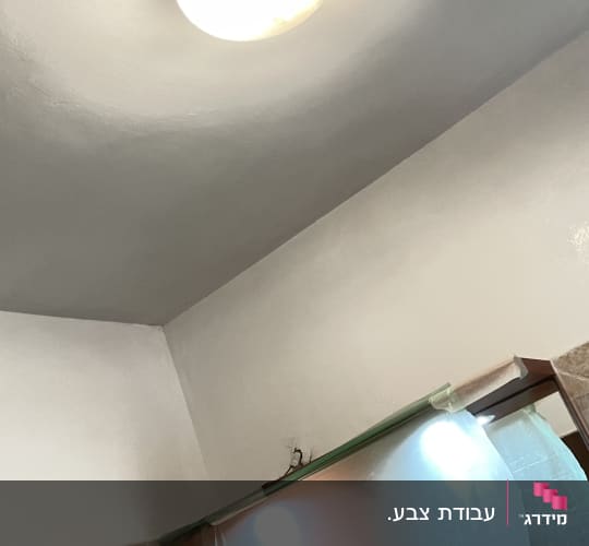 תקרה צבועה עם תאורה ומסך מגן